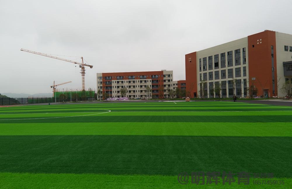 四川成都私立学校人造草坪足球场